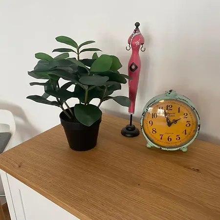 Cosy Wiener Strasse Appartement